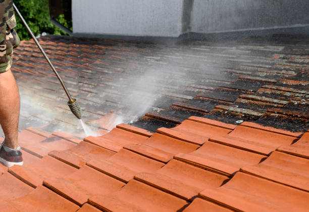 Best Affordable Power Washing  in Garrison, TX