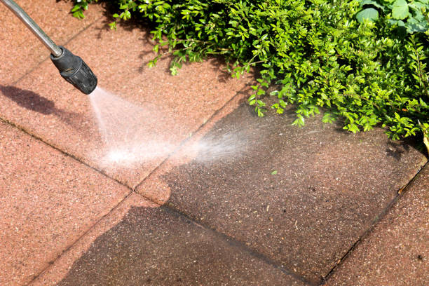 Best Local Pressure Washing Services  in Garrison, TX